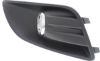 Picture of Fog Light Trim
