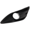 Picture of Fog Light Trim