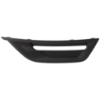 Picture of Fog Light Cover