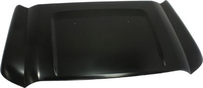 Picture of Hood
