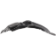 Picture of Fender Liner