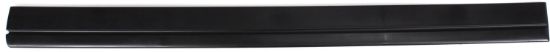 Picture of Door Molding and Beltlines