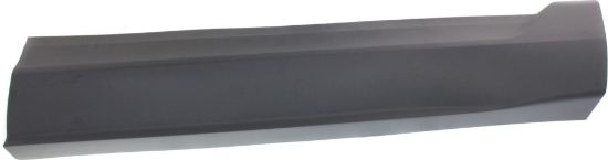 Picture of Door Molding and Beltlines