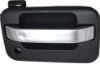 Picture of Exterior Door Handle