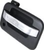 Picture of Exterior Door Handle