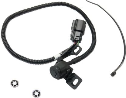 Picture of Back Up Camera
