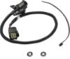 Picture of Back Up Camera