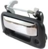 Picture of Tailgate Handle