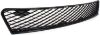 Picture of Bumper Grille
