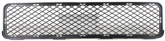 Picture of Bumper Grille