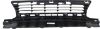 Picture of Bumper Grille