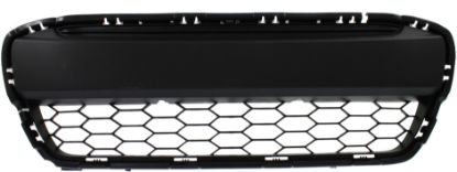 Picture of Bumper Grille