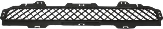 Picture of Bumper Grille