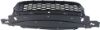 Picture of Bumper Grille