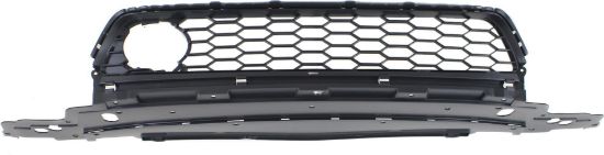 Picture of Bumper Grille
