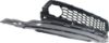 Picture of Bumper Grille