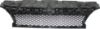 Picture of Bumper Grille