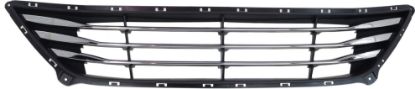 Picture of Bumper Grille