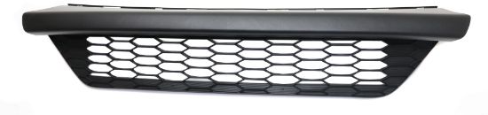 Picture of Bumper Grille
