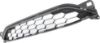 Picture of Bumper Grille