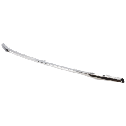 Picture of Bumper Trim