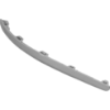 Picture of Bumper Trim