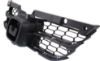 Picture of Grille Assembly