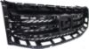 Picture of Grille Assembly
