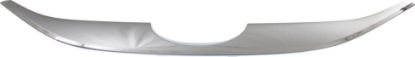 Picture of Grille Trim