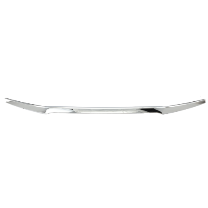 Picture of Grille Trim