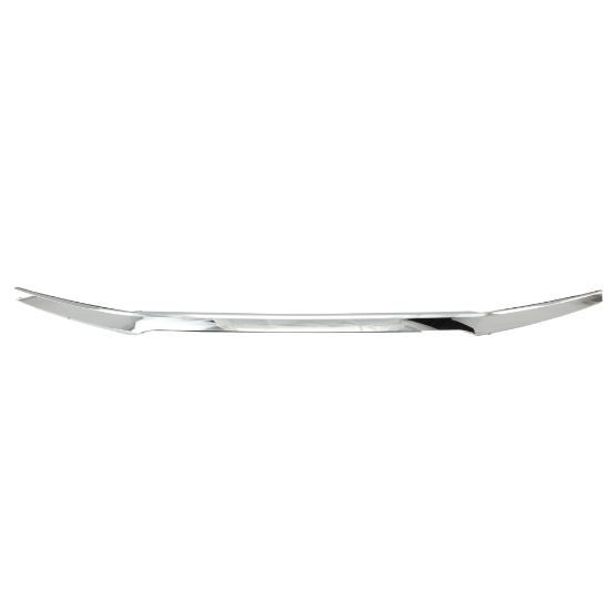 Picture of Grille Trim
