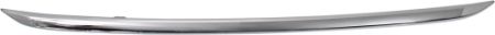 Picture for category Grille molding lower