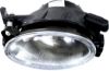 Picture of Fog Light