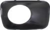 Picture of Fog Light Trim