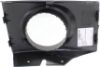 Picture of Fog Light Trim
