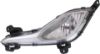 Picture of Fog Light