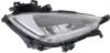 Picture of Fog Light