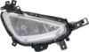 Picture of Fog Light