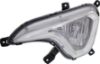 Picture of Fog Light