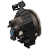 Picture of Fog Light