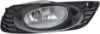 Picture of Fog Light