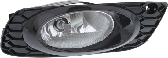 Picture of Fog Light
