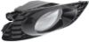 Picture of Fog Light