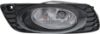 Picture of Fog Light