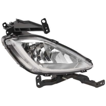Picture of Fog Light