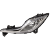 Picture of Fog Light