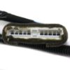 Picture of Fog Light