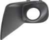 Picture of Fog Light Trim