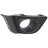 Picture of Fog Light Trim