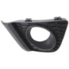 Picture of Fog Light Trim